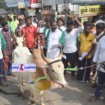 ஆன்லைன் மூலம் டோக்கன் வழங்கும் முறையை தவிர்க்க கோரி ஜல்லிக்கட்டு காளைகளுடன் வந்து கலெக்டரிடம் மனு கொடுத்த பொதுமக்கள்:-